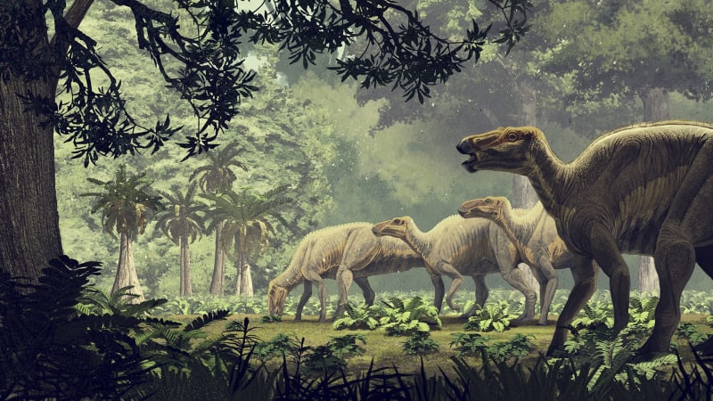 Bujné dinosauří páření přivedlo vědce na stopu důležitého objevu. Klíčové bylo studium zlomenin