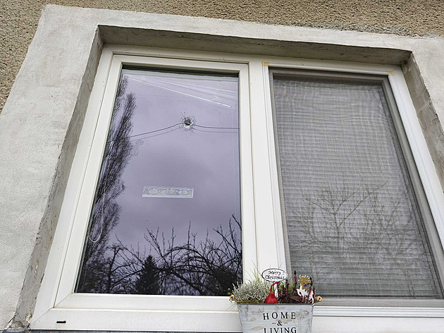 Z vraždy ženy a pokusu o vraždu muže policie obvinila 18letou dceru s přítelem