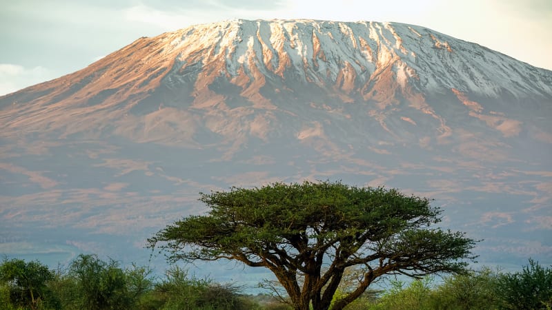 Detaily z úmrtí Čechů na Kilimandžáru: Z hory již sestupovali, média mluví o vlivu počasí
