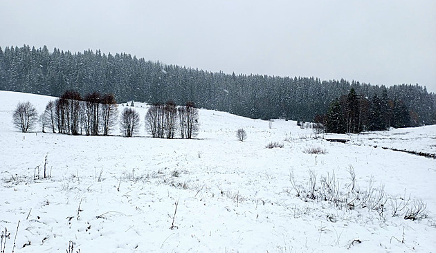 Večer a ráno platí v Česku výstraha před náledím. Na přelomu roku má pak vydatně sněžit