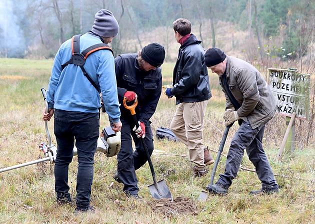 Radnice v Přibyslavi řeší, kam umístí tisíce stromů a keřů. Vznikne i nový park