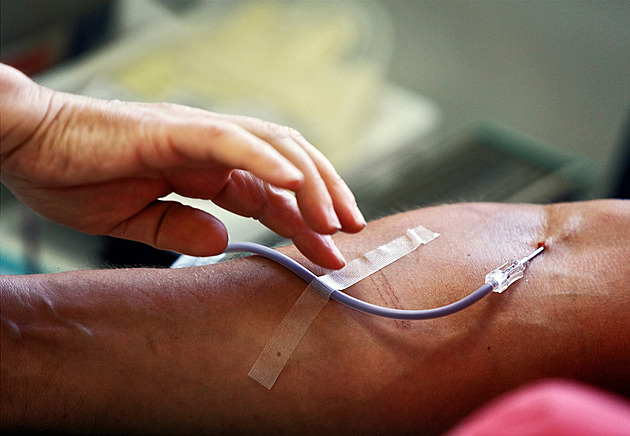 Zájem o darování kostní dřeně letos stoupl. Zapsal se trojnásobek počtu loňska