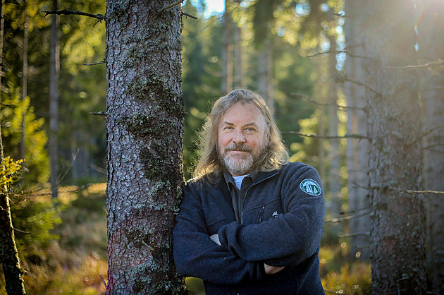 Emil je divně krotký. Až bude mít půl tuny, v říji může být zle, říká šéf NP Šumava