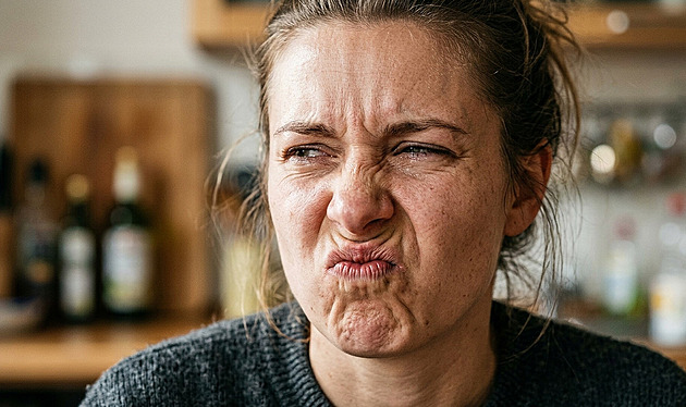 Hořká chuť nás dříve děsila. Původně to byl evoluční alarm, dnes léčí a lidé ji milují