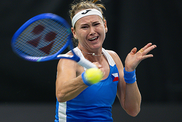 Tenis ONLINE: Bouzková je blízko rozhodujícímu bodu, šanci oživila Nosková