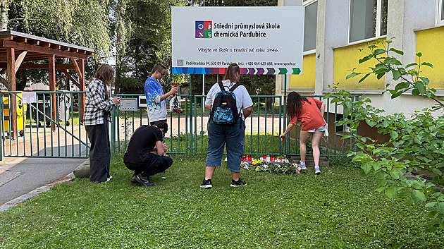 Soud poslal mladíka obviněného z vraždy dívky do vazby