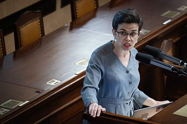 Hazardujete s evropskými miliardami, Babiš chce loajální loutky, říká Richterová
